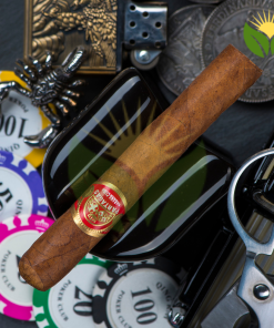 Partagas Shorts