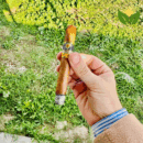 Cohiba Siglo II Cuban Cigar - Image 1