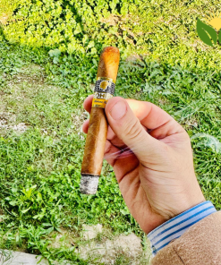 Cohiba Siglo II