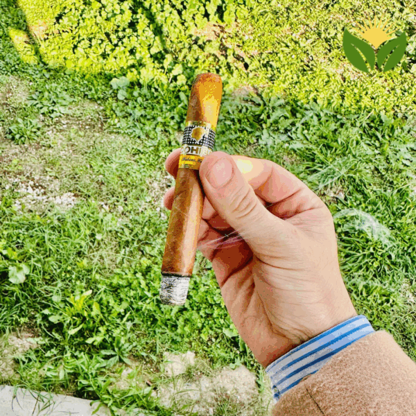 Cohiba Siglo II Cuban Cigar - Image 1