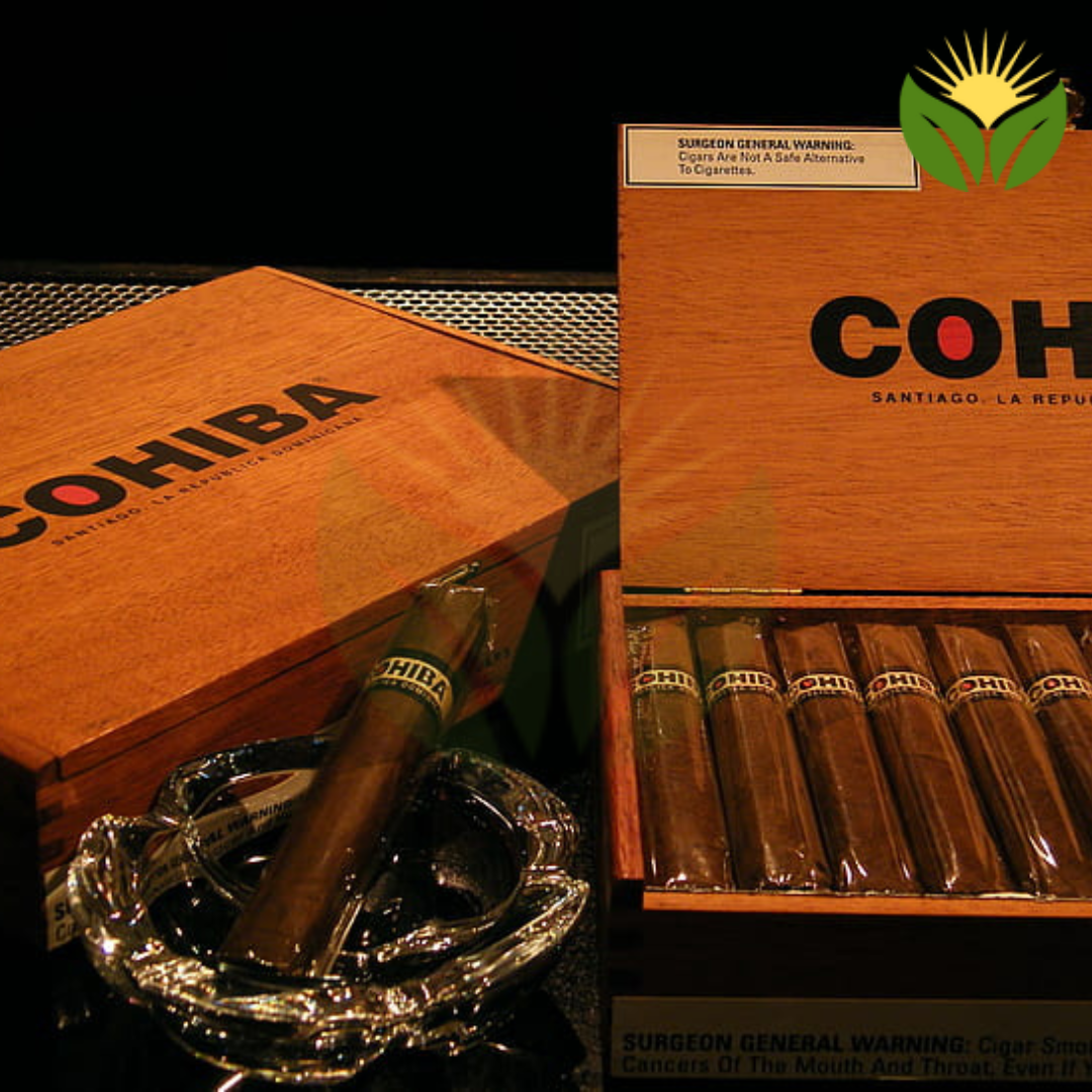 Cohiba Churchill Cuban Cigar - Image 1