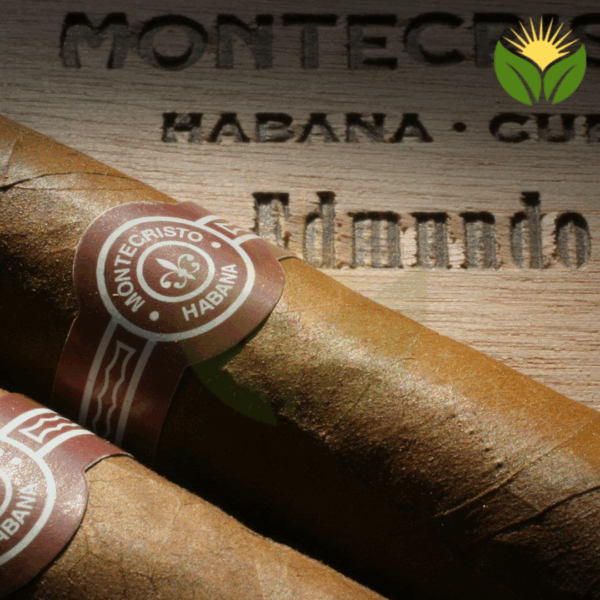 Montecristo Edmundo Box View - Authentic Habanos
