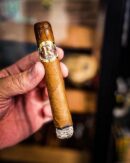 Vegas Robaina Famosos Cigar Close-up - Premium Quality