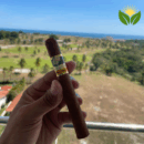 Cohiba Siglo II Cigar Close-up - Premium Quality