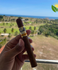 Cohiba Siglo II