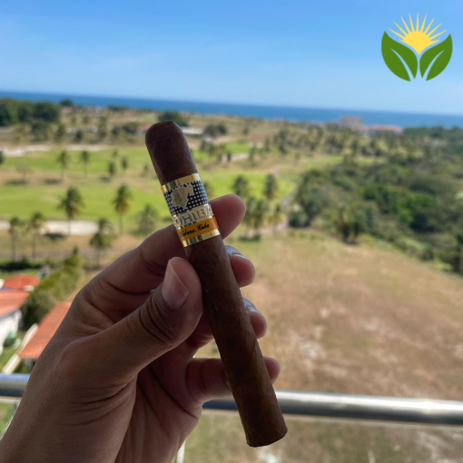 Cohiba Siglo II