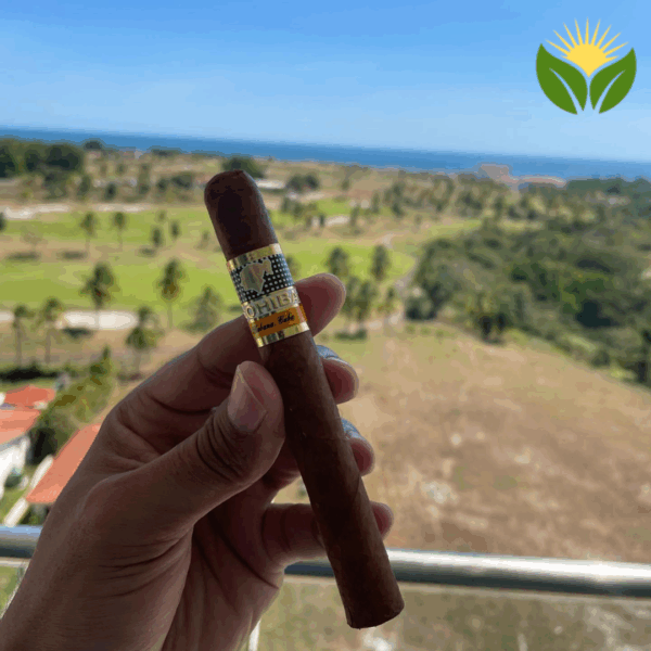 Cohiba Siglo II Cigar Close-up - Premium Quality