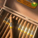 Cohiba Exquisitos Cuban Cigar - Image 1