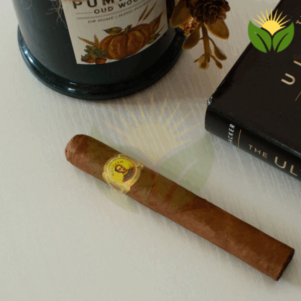 Bolivar Petit Coronas Cigar Close-up - Premium Quality