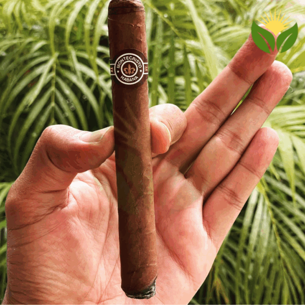 Montecristo No 3 Box View - Authentic Habanos