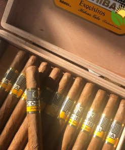 Cohiba Exquisitos