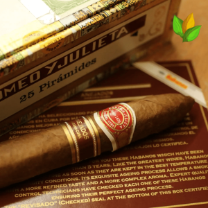 The Best Romeo y Julieta Cigars for Beginners