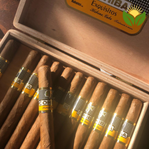 Cohiba Exquisitos