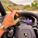 Partagas Shorts
