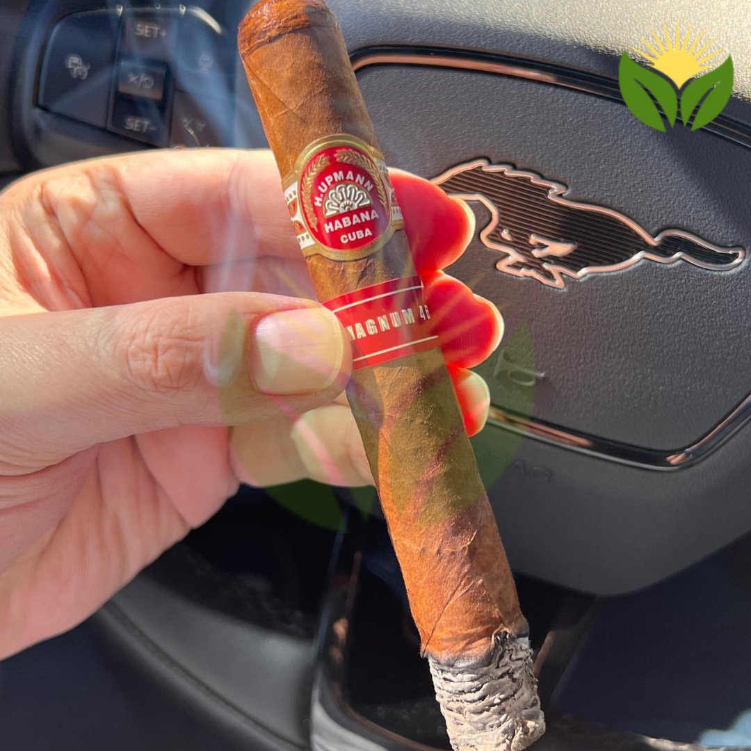 H Upmann Magnum 46 Box View - Authentic Habanos