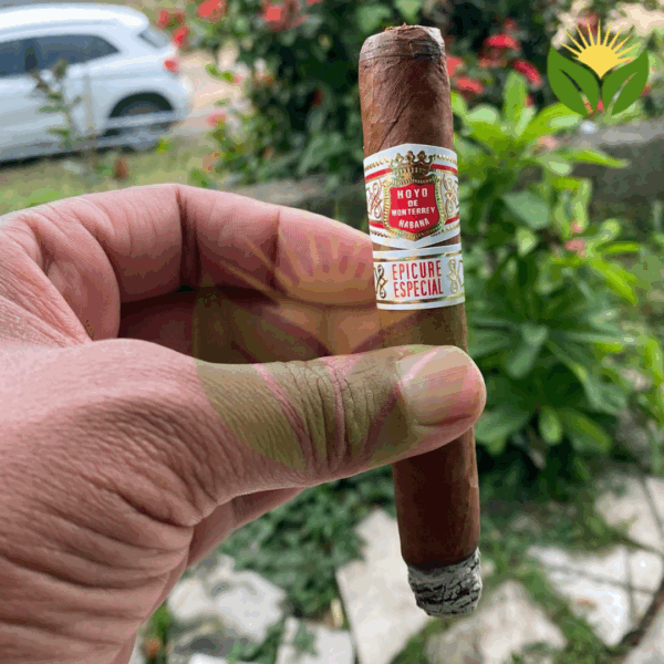 Hoyo de Monterrey Epicure Especial Cigar Close-up - Premium Quality