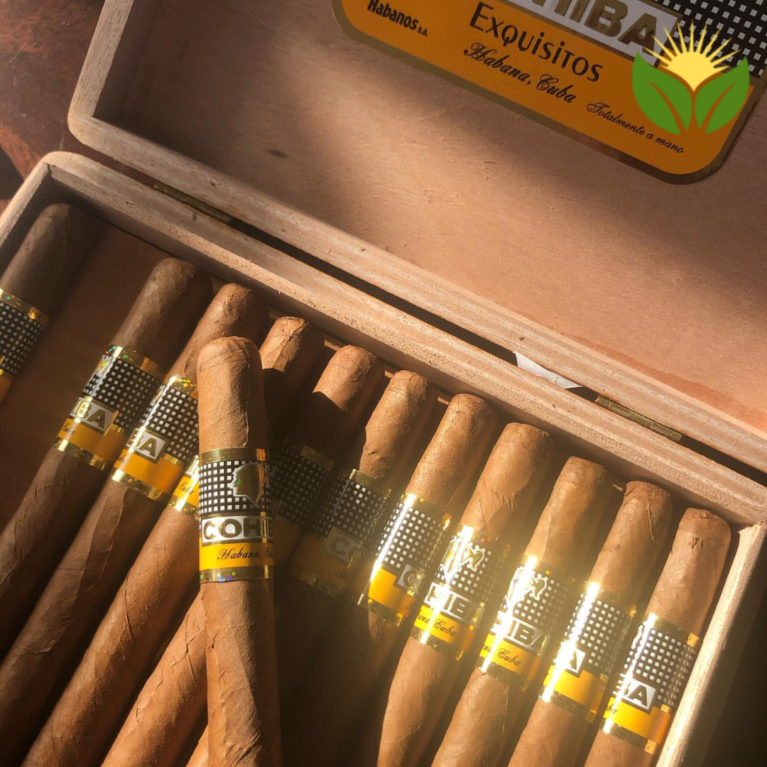 Cohiba Exquisitos Cuban Cigar - Image 1