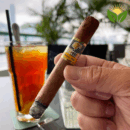 Cohiba Siglo II Box View - Authentic Habanos