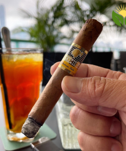 Cohiba Siglo II