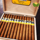 Cohiba Exquisitos Box View - Authentic Habanos