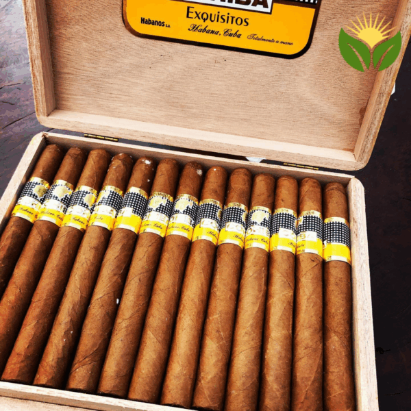 Cohiba Exquisitos Box View - Authentic Habanos