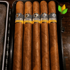 Cohiba Esplendidos - The Flagship Cigar of the Brand