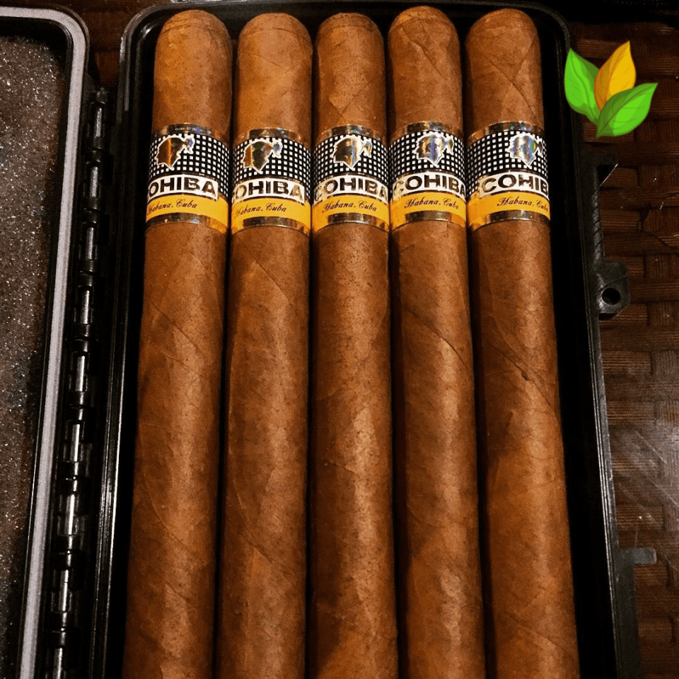 Cohiba Esplendidos - The Flagship Cigar of the Brand