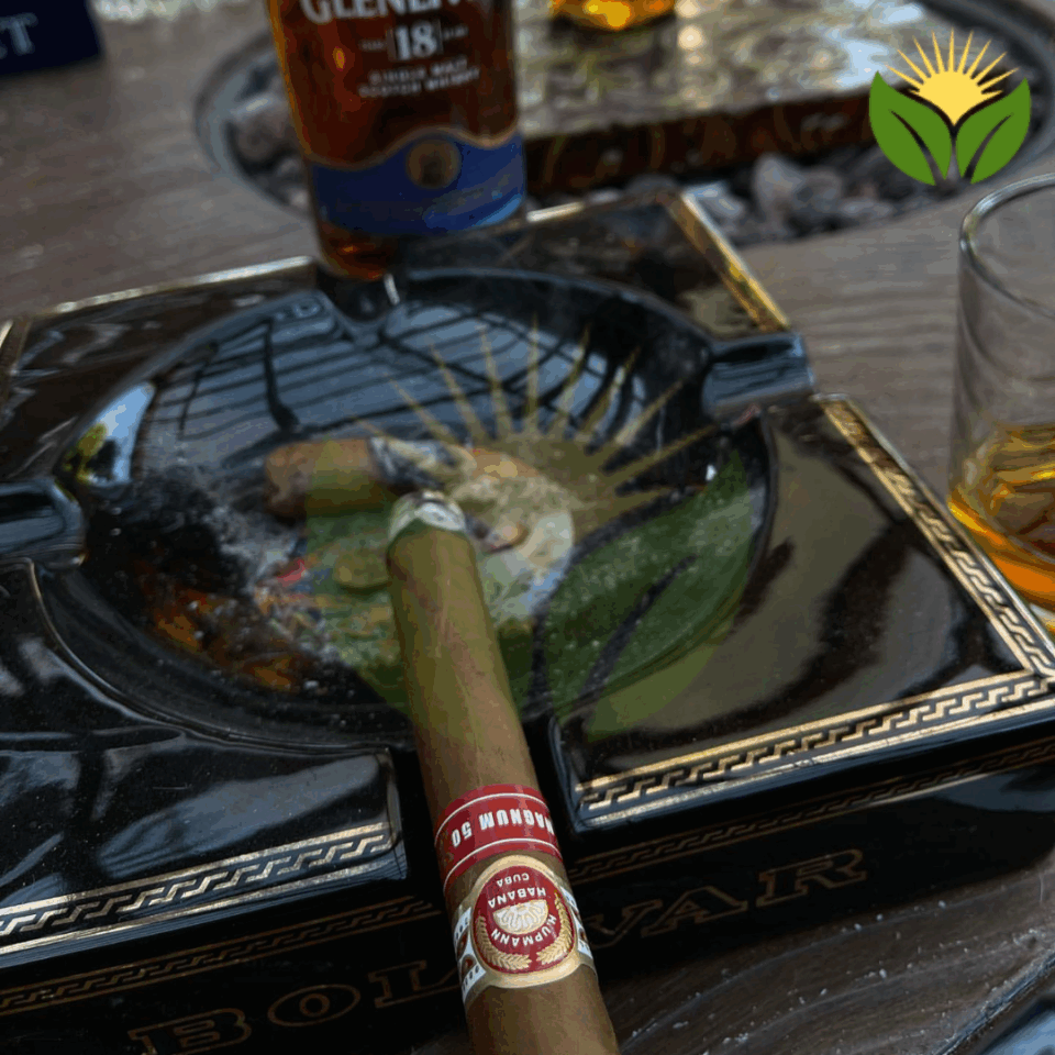 H. Upmann Cigars - Prices, Sizes, and Everything In Between