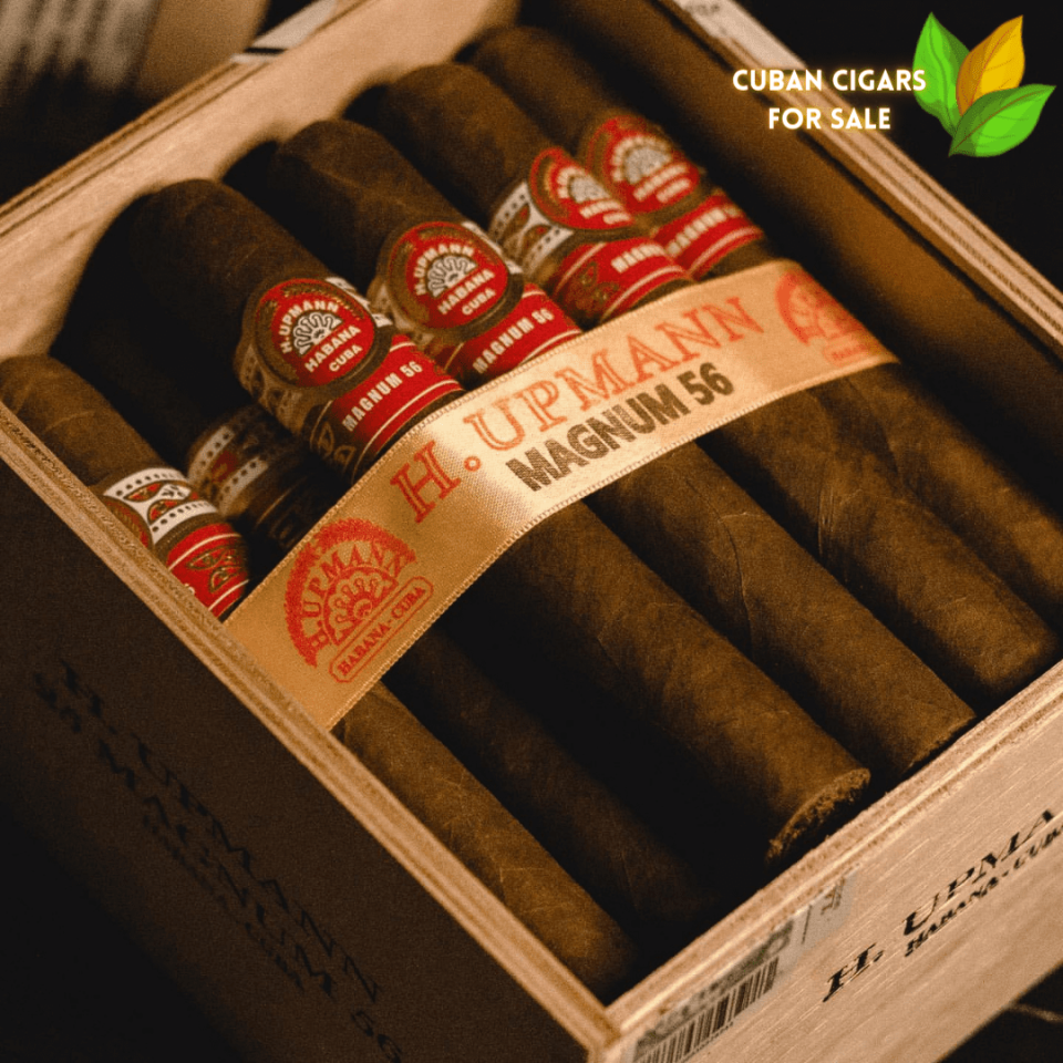 The Art of Aging H. Upmann Cigars for Optimal Flavor and Aroma