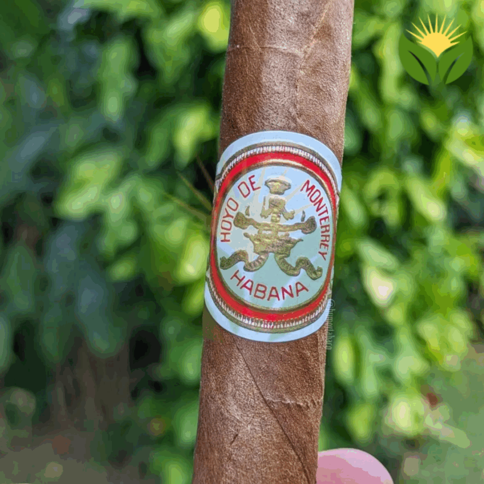 Hoyo de Monterrey Cigars - Prices, Sizes, and Everything You Need to Know