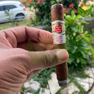 Hoyo de Monterrey Epicure Especial - A Special Edition for Cigar Enthusiasts