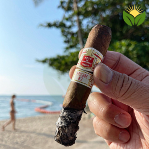 Hoyo de Monterrey vs. Other Cuban Cigar Brands - A Comparative Analysis