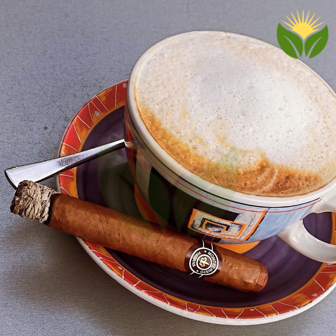 Authentic Montecristo Cuban Cigars – Straight from Habana