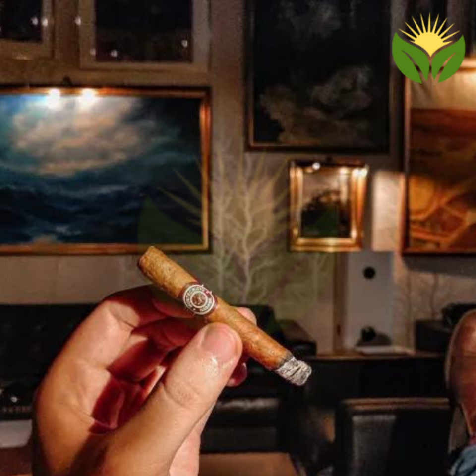 Montecristo Shorts, Mini Cigars, and Puritos - Perfect for a Quick Smoke