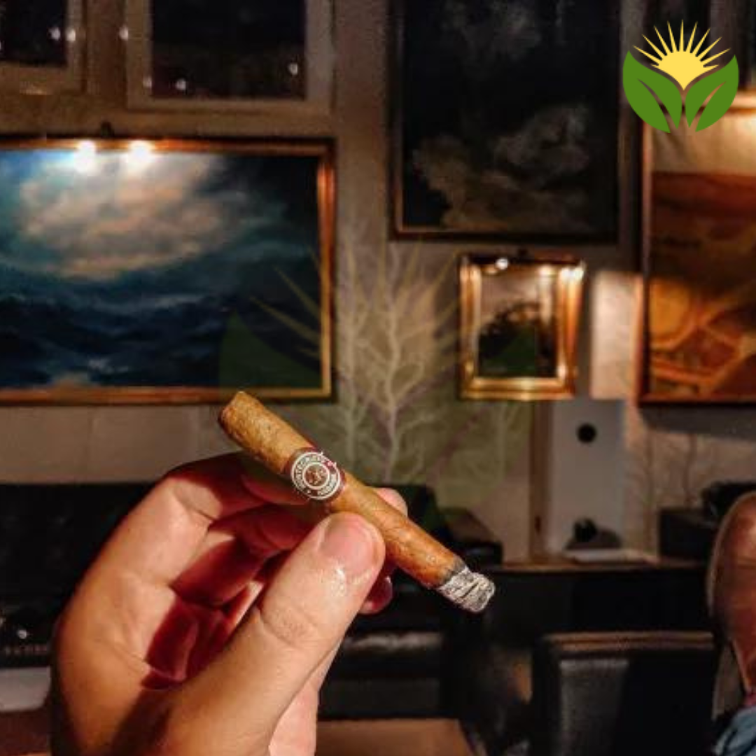 Authentic Montecristo Cuban Cigars – Straight from Habana
