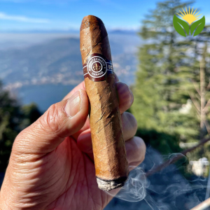 Montecristo Petit Cigars - A Closer Look at the Petit No. 2 and Petit Edmundo