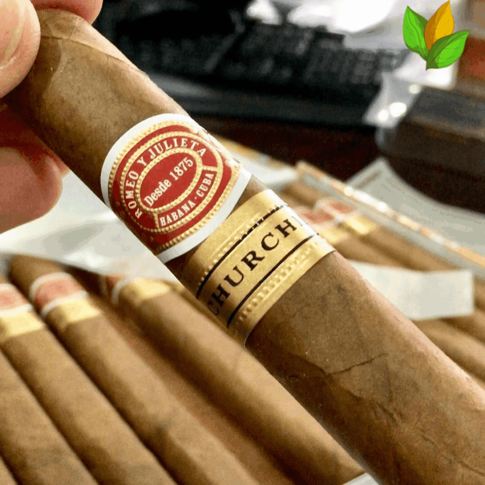 Short Churchill, Romeo y Julieta Petit Churchill