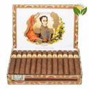 Bolivar Petit Coronas - High Resolution