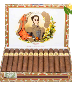 Bolivar Petit Coronas