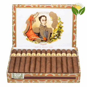 Buy Bolivar Petit Coronas Cuban Cigars Online