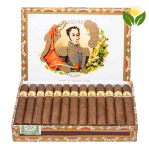 Bolivar Petit Coronas