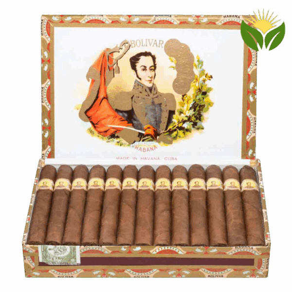 Bolivar Petit Coronas - High Resolution