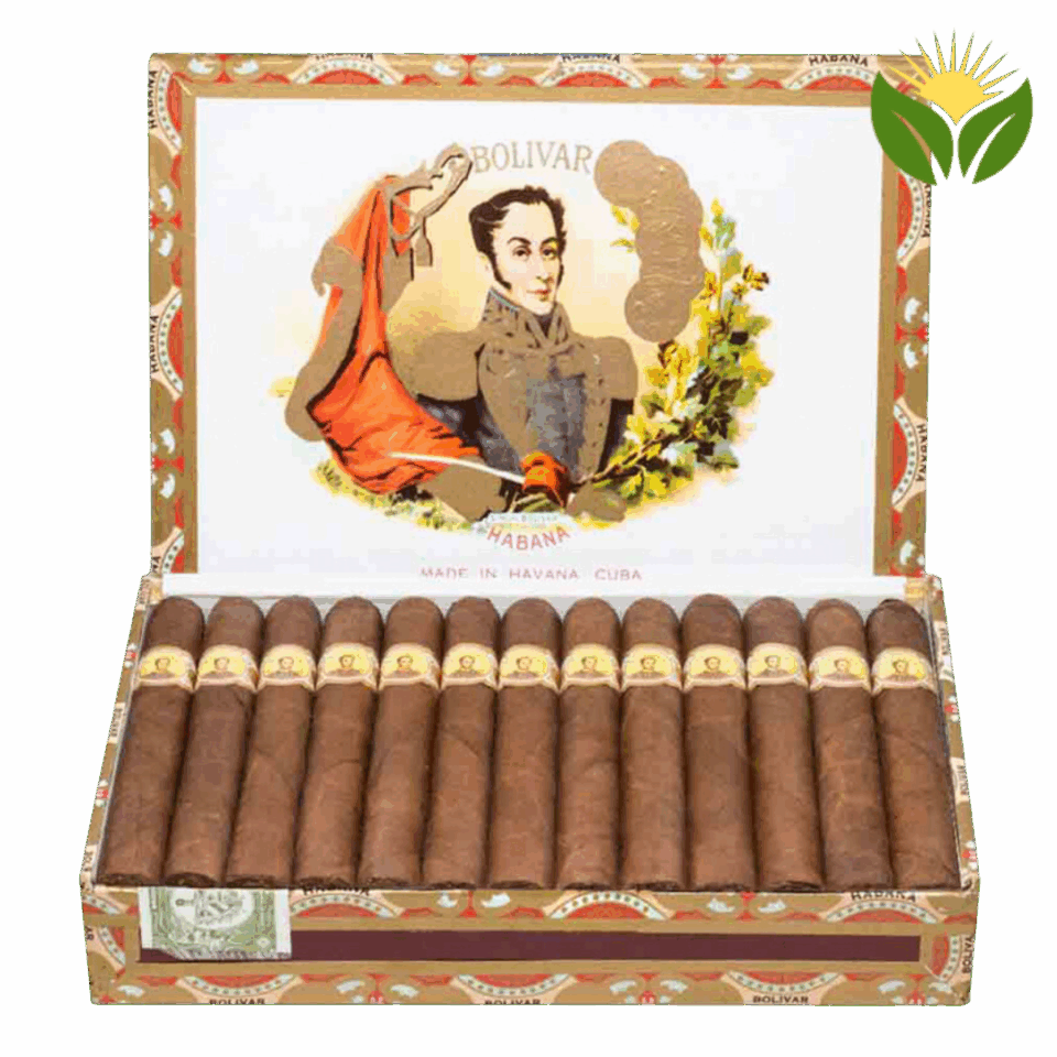 Bolivar Petit Coronas - High Resolution