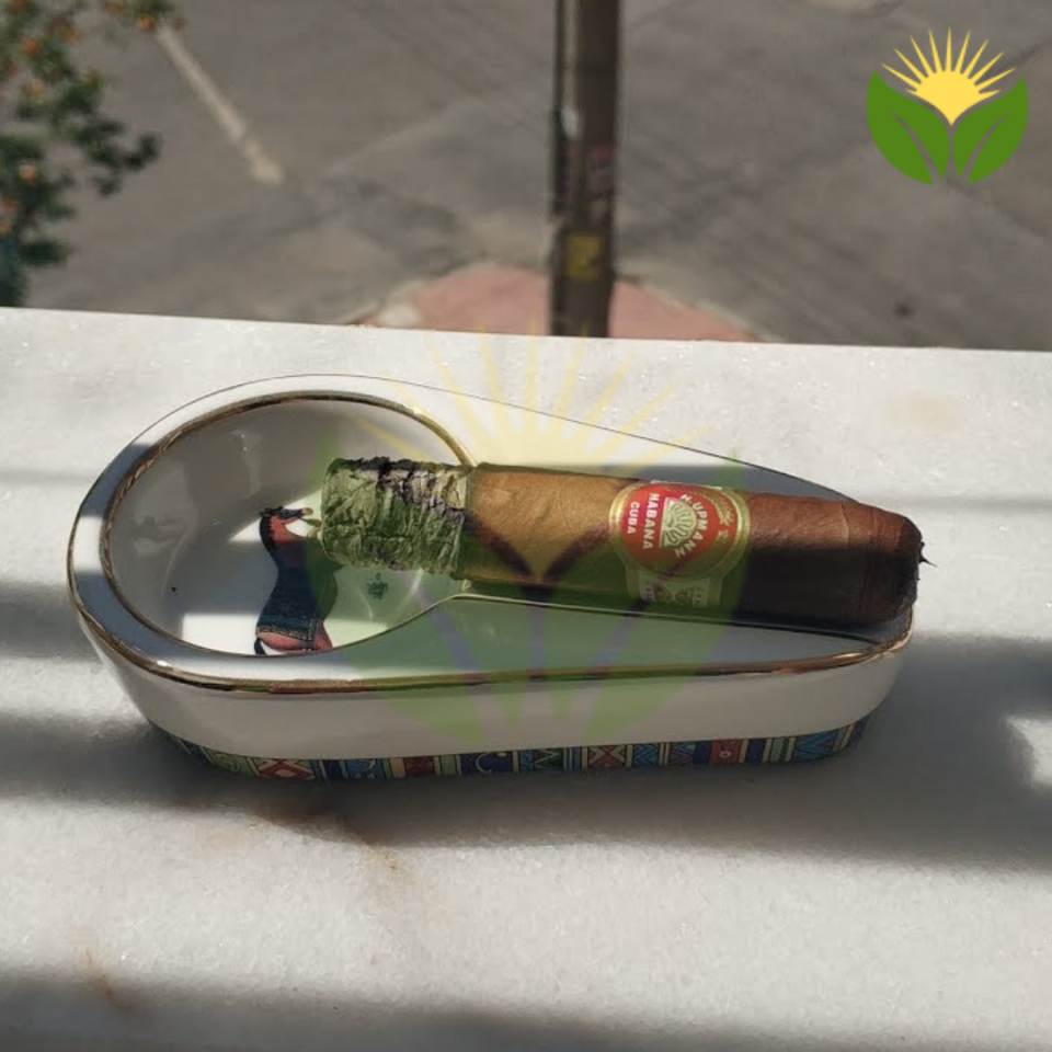 H. Upmann Half Corona - A Small Cigar with Big Flavor