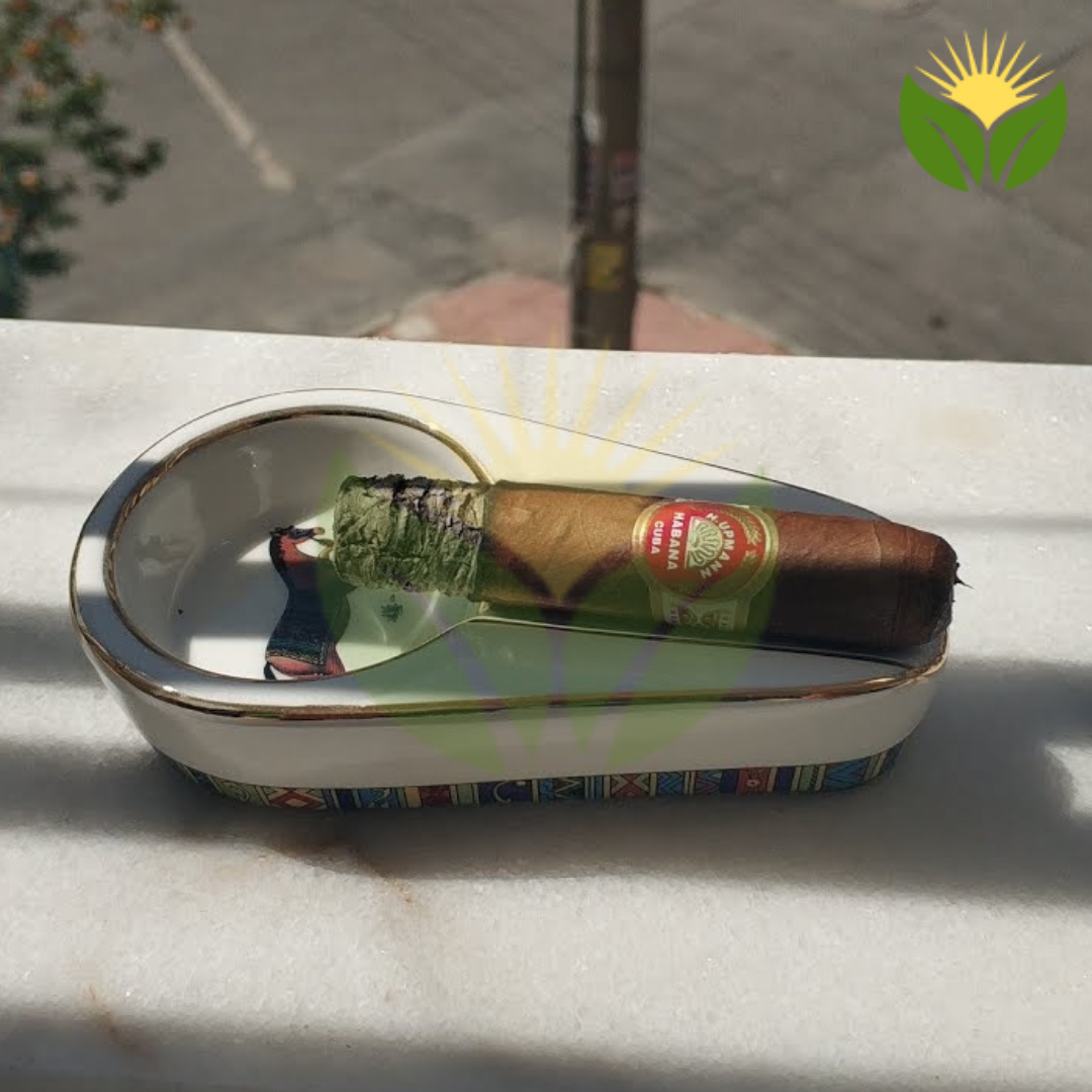 H. Upmann Half Corona - A Small Cigar with Big Flavor 1 H. Upmann Half Corona - A Small Cigar with Big Flavor