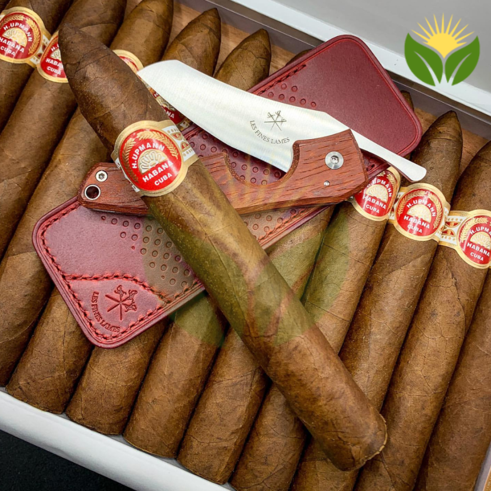 Exploring the Iconic H. Upmann No. 2 - A Cigar Lover's Dream