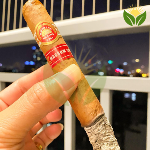 H. Upmann vs. Other Top Cuban Cigar Brands - A Comparative Review