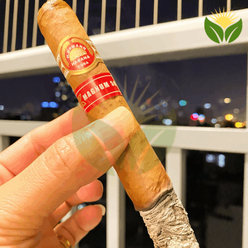 H. Upmann vs. Other Top Cuban Cigar Brands - A Comparative Review