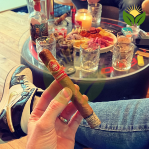 Unraveling the Mysteries of H. Upmann Cigars - From Seed to Smoke