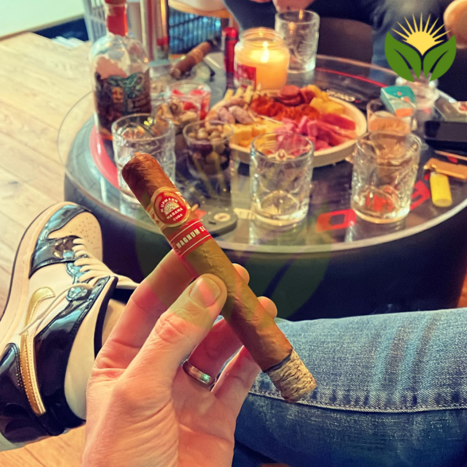Unraveling the Mysteries of H. Upmann Cigars - From Seed to Smoke